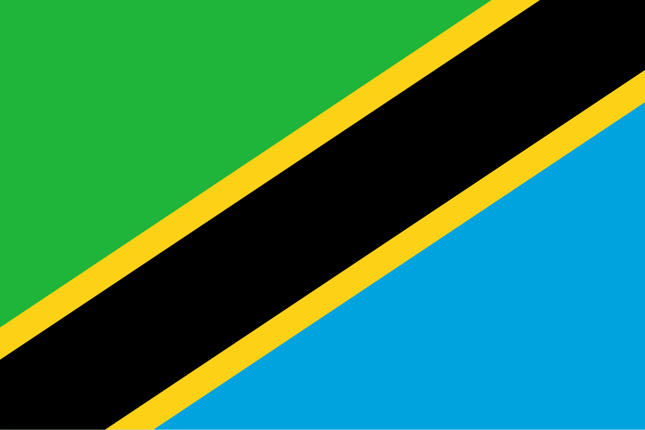 Tanzania Flag